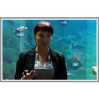 Kiti v severnem Jadranu icon