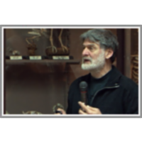 Brazdasti kit v Prirodoslovnem Muzeju Slovenije