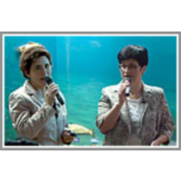 Idrija in njena dediščina živega srebra icon