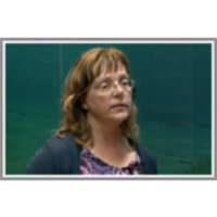 Morje kot slovensko okno v svet icon