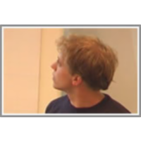 Model based identification of transcription factor activity from microarray data icon