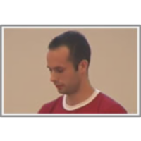 Hierarchical Multilabel Classification Trees for Gene Function Prediction icon