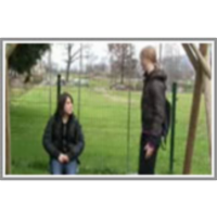 Pravo prijateljstvo?