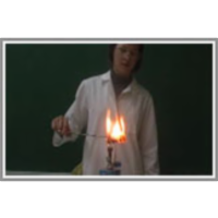 Dokazovanje organskih in anorganskih snovi v kosteh icon