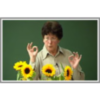 Evolution in Four Dimensions icon