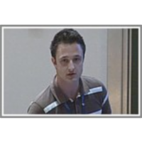 Detection of irreversible fusion of iron oxide magnetic nanoparticle into single-domain clusters by magnetic measurements icon