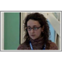 The Work of a Professional Translator icon