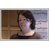 Web Service Modeling Ontology (WSMO) icon