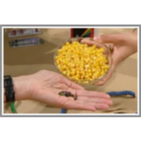 Gensko spremenjeni organizmi icon