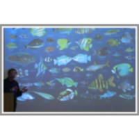 Lecture 2 - Principles and Strategies in Environmental Law icon