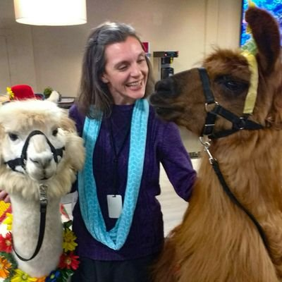 Carey Higgins-Dobney