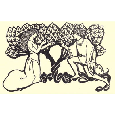 ANA TERESA VERDUZCO VÁZQUEZ