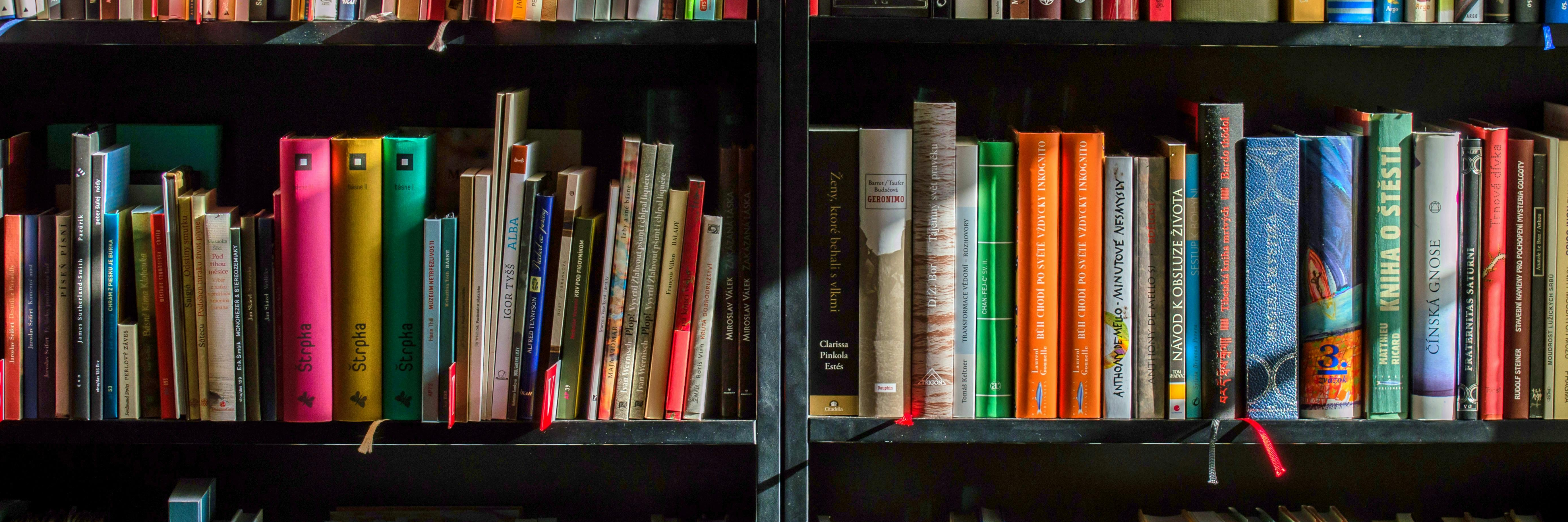 "Renew, Reimagine, Rediscover"