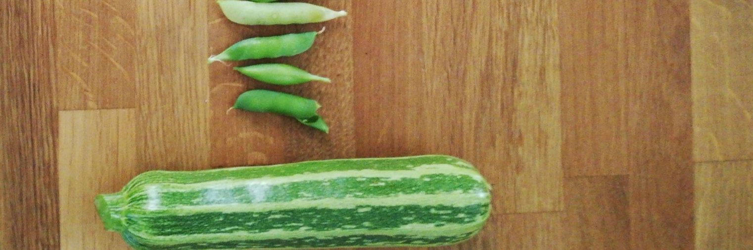 Photo by Grace Miller, UK CC-BY-NC-SA